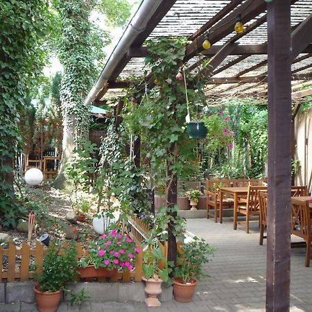 Gasthof & Pension Hause Halle  外观 照片